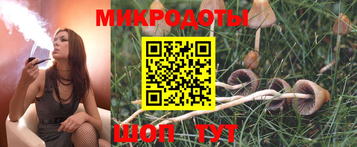 Березники  Псилоцибиновые грибы Cubensis  Галлюциногенные грибы Psilocybine cubensis  Вход с VPN 