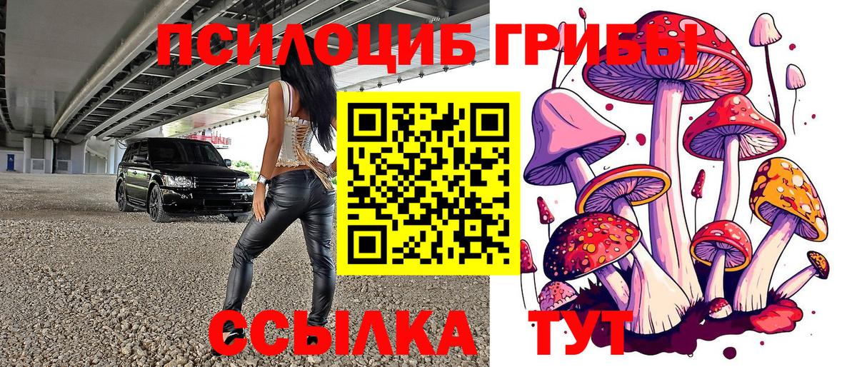 Псилоцибиновые грибы Cubensis Березники